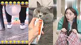 搞笑视频：天啊！简直绝了