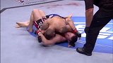 UFC-15年-UFC186自由格斗：比斯平vs康李-专题