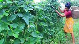 红衣嫂荒野烤鸡吃，再搭配辣酱鲜蔬，实在是美味