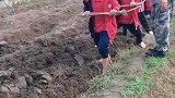 这种活动应该多整几次，让他们知道粮食得来的不易