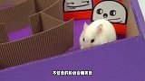 挑战5层彩虹金字塔迷宫，层层机关小仓鼠机智应对