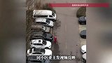 “谁杀了我的大公鸡”响彻小区，业主大喇叭连喊几天找凶手，物业无奈：她在宣泄