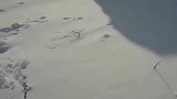 萌宠：中华田园犬被主人遗忘在屋外，破雪而出的那一刻