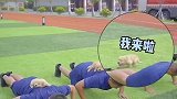 当消防队来了一群小狗