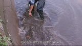 传说中的“水鬼”被人抓住，看到它真实面貌，网友涨见识了！