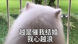 改编野子，宝宝们六一快乐！