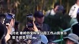 游客看熊猫被告知综艺录制优先？怒吼“谁给你们的特权”？景区致歉：临时限流