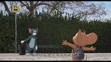 猫和老鼠真人电影定档，坚持动画风格，角色不会说话，女主很漂亮