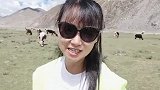 蓝天白云，牛羊成群，这就是我们昨天露营的地方…