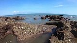 赶海老哥遇到“心形坑”“陨石坑”神秘水坑意外收获大章鱼太爽了