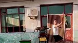 这才是真正的神犬，接下来这番操作，一看就吃了不少苦！