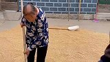 找了半天也没找到