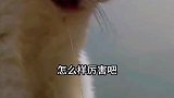 怎么样，厉害吧