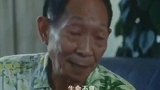 袁隆平接受外国记者采访，全程英文对白，不愧是中国的骄傲！袁隆平