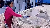 梦寐以求的工作，太让人羡慕了