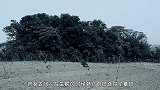 山东有座82米小山，接连下15天大雨，考古队：下方埋着曹植墓