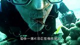 潜水员刚张开嘴，几只“生物”就飞快钻了进去，专门吃这“东西”
