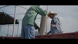 微纪录片 《这十年第22期：“珊瑚爸爸”的海底世界》陈宏