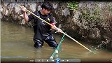 用6米拦河网拦腰截断，真是大力出奇迹，鱼没反应过来就被赶进网