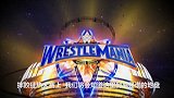 WWE-17年-摔跤狂热大赛预告：个人恩怨赛罗门·伦斯VS送葬者-专题