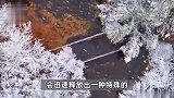 降雪能冻死病毒？下场雪生病的人就少了？真相来了