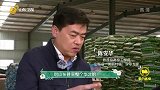 来到金丰公社，没想到这是一个综合平台能否解决老百姓的种地问题