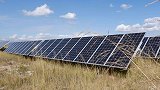 让世界各国困扰的杂草问题，被中国用生物技术解决，引起各国关注