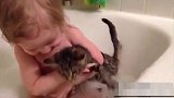 猫咪在看小宝宝洗澡，结果悲剧了，真是要笑死我了！