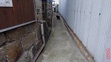 黑色流浪猫向人类求助,一路跟随,发现另一只生病的流浪猫