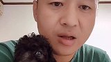 汪星人狗妈妈为什么会吃掉自己的孩子