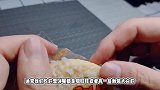 美食试吃：超市买的雪饼，就算用来招待客人也不错