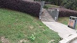 阿福在花神湖