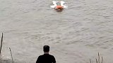 民警江边测试救生新装备，鱼把泳圈送回岸边