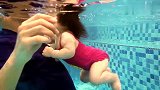 宝宝水性很好，在水里游的很熟练，真厉害啊