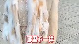 南方女孩和北方女孩的区别，绝对让你长见识1