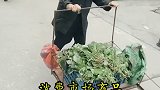互联网巨头纷纷上场，社区团购是火坑还是金矿？社区团购 人人都是大老板 互联网创业