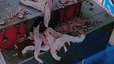 原来无骨鸡爪是这样制作的