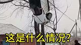 这是什么情况？