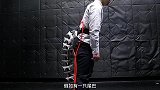 有一只尾巴会是一种什么体验