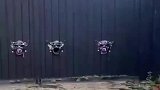 这“守门将”有点意思啊