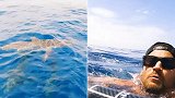 澳大利亚：男子划桨时遇到鲨鱼，下一秒掉进海中被包围
