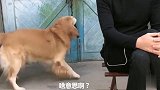 女主问：回家最高兴的是什么？艾迪立刻去关门，男主又要倒霉了