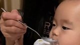 妈妈用勺子喂宝宝喝奶，宝宝等不及的模样好萌，小表情太可爱了！