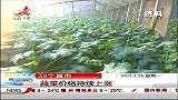 晨光新视界-20120326-50个城市蔬菜价格持续上涨