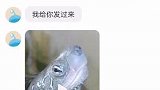 人也骂了，还没完没了，来来来，看看我到底吃了几碗粉！