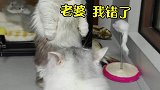 蛋：为了二胎！拼了！