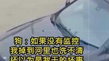 如果没有监控，我掉到河里也洗不清