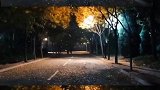 你要适应这个世界的温度，不管是季节还是人心。