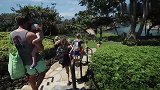五胞胎旅行第一天，老三黑兹尔的帽子造型，可爱爆了