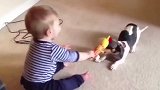 狗狗和孩子也可以相处的这么好，都不用担心，太棒了！